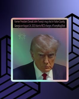 Former President Donald John Trump’s Mug Shot Fulton County, Georgia RICO Holographic Stickers