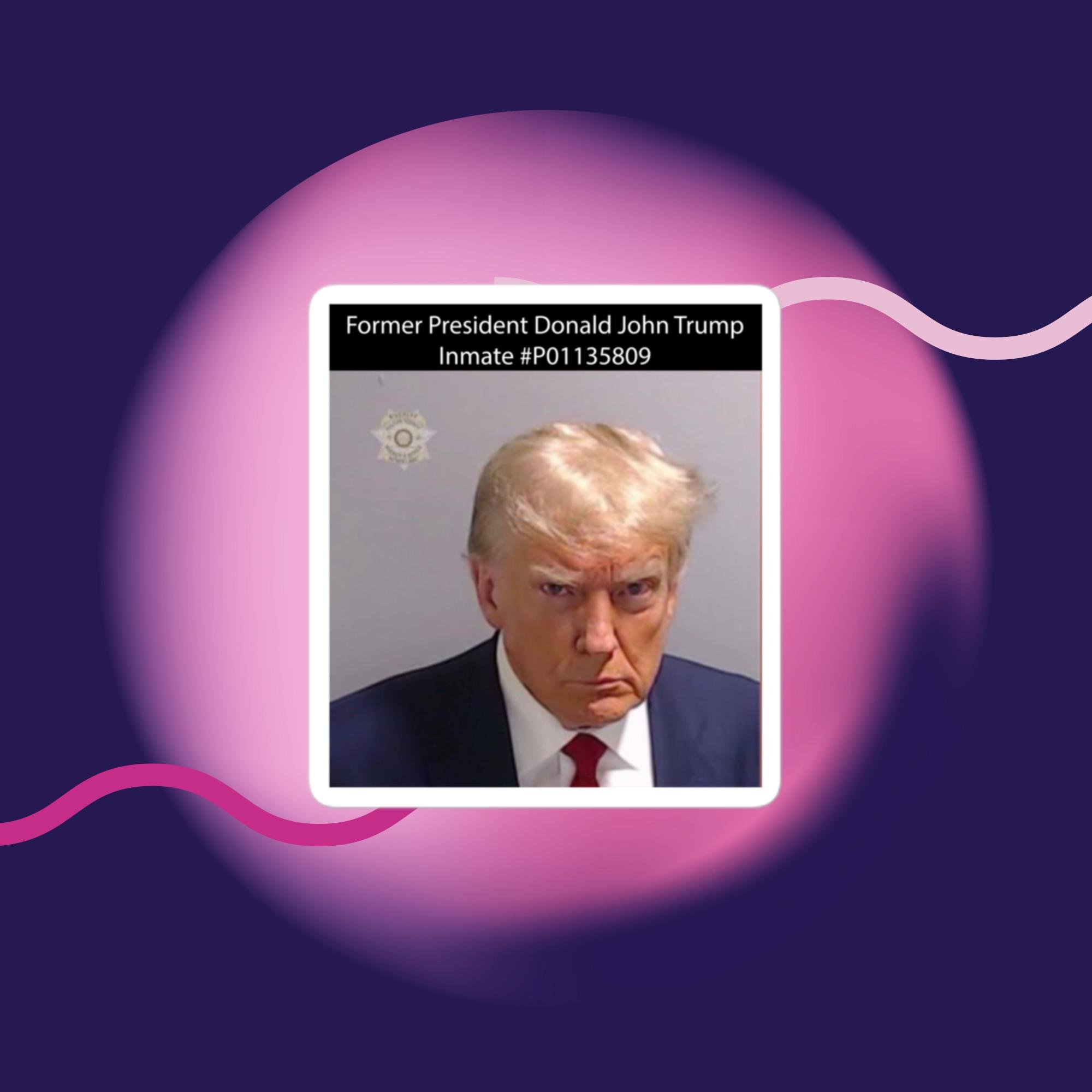 Former President Donald John Trump Inmate #P01135809 Bubble-free stickers white 3x3 inches