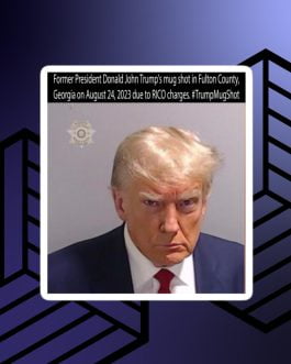 Former President Donald John Trump’s Mug Shot Fulton County, Georgia RICO Bubble-free stickers