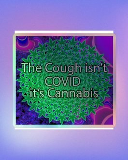 The Cough isn’t COVID it’s Cannabis Marijuana Pot Weed Holographic stickers