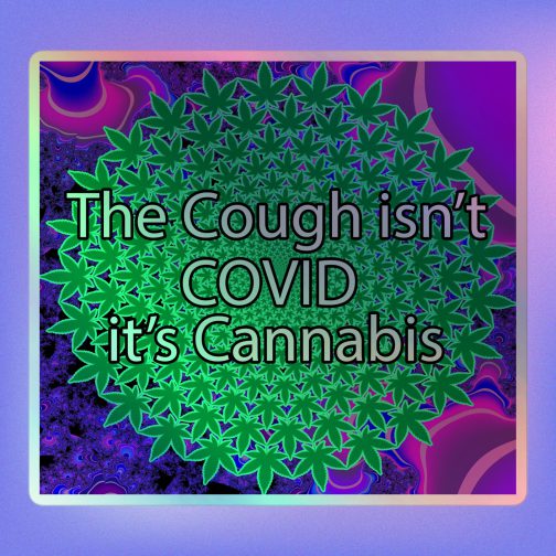 The Cough isn't COVID it's Cannabis Marijuana Pot Weed Holographic stickers grey gray 5.5x5.5 inches