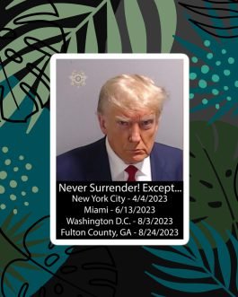 Trump Mug Shot: Never Surrender! Except… He Surrendered stickers