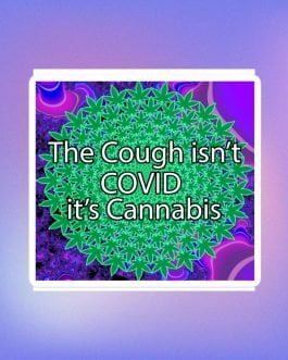 The Cough isn’t COVID it’s Cannabis Marijuana Pot Weed Bubble-free stickers