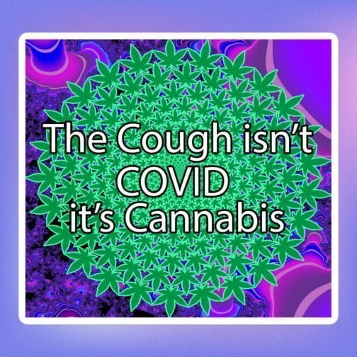 The Cough isn't COVID it's Cannabis Marijuana Pot Weed Bubble-free stickers white 5.5x5.5 inches
