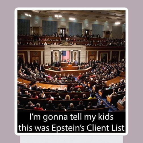 I'm Ima gonna tell my kids this was Jeffrey Epstein's Client List (Congress) Bubble-free stickers 5.5x5.5 inches white