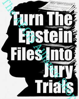 Black and white "Turn The Epstein Files into Jury Trials" activist hoodie featuring a bold statement design. A powerful message for demanding legal transparency and accountability.