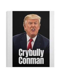 Crybully Conman Anti-Trump Deluxe Portrait Canvas 1.5in Frame For Protests - Image 5